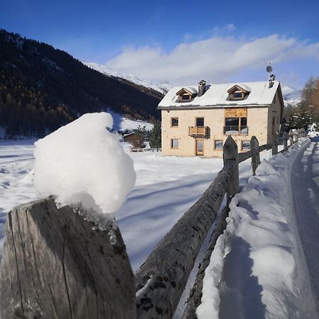Chalet Aria Pura 利维尼奥 外观 照片